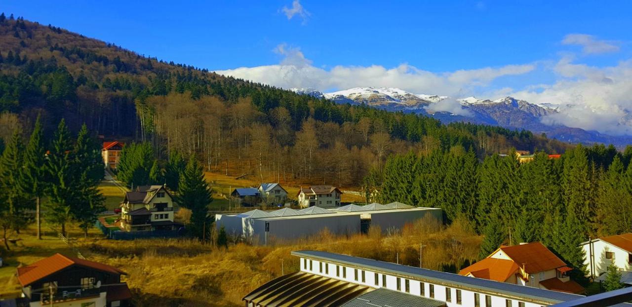 Vintage Home Синая Экстерьер фото